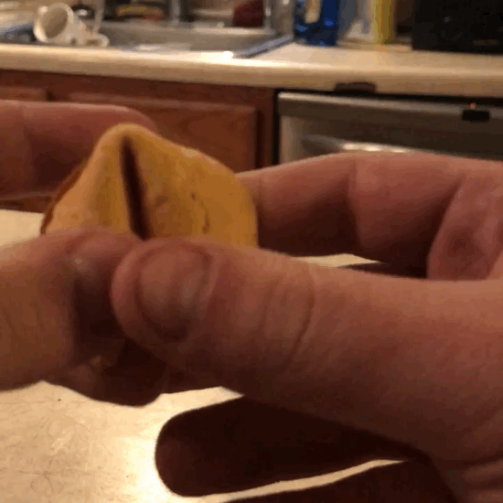 Send Nudes to Me Fortune Cookie Send Nudes to Me Fortune Cookie